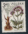 Pologne 1980 - YT 2525 - oblitr - Valriane (Valeriana officinalis)