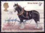 Royaume Uni 1978 Y&T 868 Neuf cheval