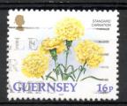  Guernesey Yvert N569 Oblitr 1992 Fleur illets jaunes