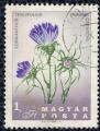 Hongrie 1967 Oblitr Used Fleurs Edraianthus tenuifolius SU