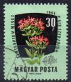 HONGRIE N 1470 o Y&T 1961 Fleurs (Petite centaure)