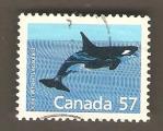 Canada - Scott 1173   whale / baleine