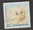 Hungary - Scott 1881   cat / chat