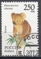 EURU - Yvert n 6041 - 1993 - Koala (Phascolarctos cinereus)