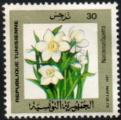 Tunisie (Rp.) 1987 - Narcisse (narcisus tazetta) - YT 1096 **