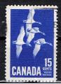 Canada / 1963 / Bernache du Canada / YT n 337 oblitr