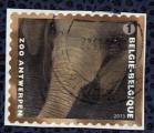 Belgique 2013 Oblitr Used Zoo d'Anvers Animaux Elephas maximus lphant d'Asie