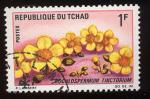 Timbre Rpublique du TCHAD 1969 Obl N 179  Y&T Fleurs 