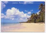 Carte Postale Moderne Martinique 972 - Sainte-Anne, plage des Salines