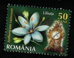 Roumanie 2013 Oblitr rond Used Fleur Anthericum Ramosum Phalangre ramifie
