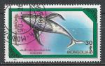 MONGOLIE - 1990 - Yt n 1739 - Ob - Mammifres marins ; megaptera novaeangliae
