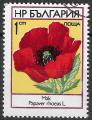 BULGARIE - 1973 - Yt n 2000 - Ob - Fleurs : coquelicot