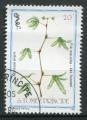 Timbre S. TOME THOME & PRINCIPE 1983 Obl N 761 Y&T Flore Plantes