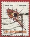 Singapur 1977.- Conchas. Y&T 270. Scott 271. Michel 274.