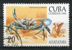 Timbre de CUBA 1994  Obl  N 3371  Y&T  Crustacs