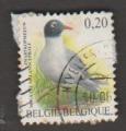 Belgium - SG 3697  bird / oiseau