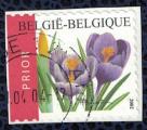 Belgique 2002 Oblitr rond sur fragment herbace Crocus Vernus ou de Naples SU