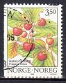 NORVEGE - 1996 - Fraises sauvages - Yvert 1161 Oblitr