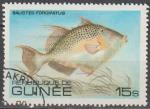 GUINEE 1980 670 oblitr Faune marine