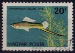 Hongrie 1962 - Aquariophilie  : xipho, 20 f - YT 1495 