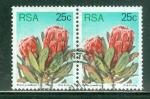 Afrique du sud 1977 Y&T 428 oblitr Flore Protea ((paire attenante)