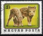 Hongrie 1976; Y&T n 2480; 40 fi, faune, marcassins
