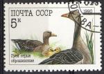 Russie 1990; Y&T n 6764; 4k, oiseau, oies & oisons