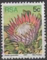 AFRIQUE DU SUD N 420 o Y&T 1977 Fleurs (Protea cynaroides)