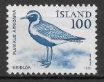 ISLANDE - 1981 - Yt n 521 - Ob - Oiseaux : pluvialis apracaria