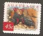 Australia - Scott 1985   bird / oiseau