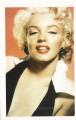 CPSM  Marilyn Monroe " Carte postale "  Hollande