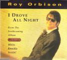 Roy Orbison  "  I drove all night  "