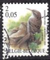 EUBE - 2000 - Yvert n 2918 - Grimpereau des jardins (Certhia brachydactyla)