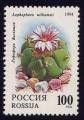 Timbre neuf ** n 6053(Yvert) Russie 1994 - Fleur de cactus
