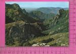 CPM  LAMALOU-LES-BAINS : Parc du Caroux, Hautes Gorges  d'Hric