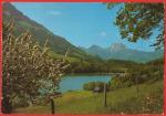 Suisse - La Gruyère : Lac de Montsalvens - Carte écrite 1984 BE