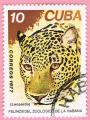 Cuba 1977.- Felinos. Y&T 2036. Scott 2170. Michel 2260.