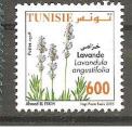 Tunisie. 2005 . N 1555 oblitr