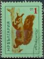 Bulgarie 1963 - Ecureuil roux, 1 cm - YT 1176 