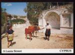  CPM anime neuve Chypre LANIA une rue Vaches