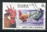 Timbre de CUBA 2006  Obl  N 4351  Y&T  Oiseaux Gallinaces