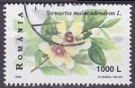 Timbre oblitr n 4519(Yvert) Roumanie 1999 - Fleurs, camlia soyeux