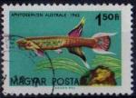 Hongrie 1962 - Poisson ornemental, 1.5 Ft - YT 1502 