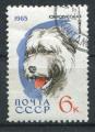 Timbre Russie & URSS 1965  Obl   N 2923   Y&T  Chien