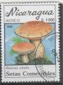 NICARAGUA  N PA 1315 Y&T o 1990 Flore champignon (Boletus edulis)