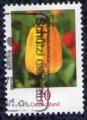 Allemagne 2005 Oblitr thmatique Used Stamp Fleurs Flowers Tulpe Tulipe