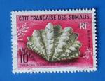 Somalis 1962 - Nr 312 - Coquillage Tridacna (Obl)