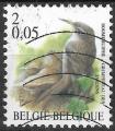 Belgique - 2000 - Yt n 2918 - Ob - Oiseaux : grimpereau