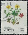 Norvge 1979 Plante Fleurs potentille Crantz Potentilla Crantzii Y&T NO 756 SU