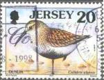 Jersey 1997 - oiseau de mer : bcasse variable/dunlin, obl. - YT 762 / SG 780 